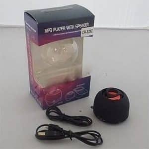 Parlante Portable Tf Fm Cr-329c