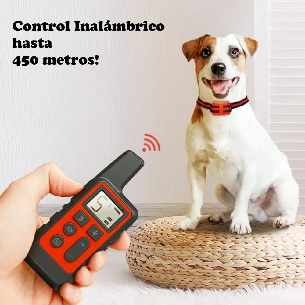 Collar Perro Adiestra Entrena Remoto Eléctrico Sumergible Collar Perro Adiestra Entrena Remoto Eléctrico Sumergible