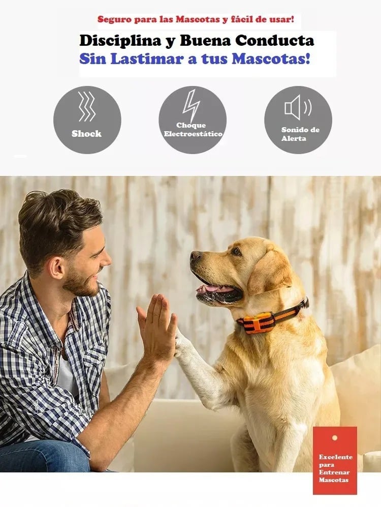 Collar Perro Adiestra Entrena Remoto Eléctrico Sumergible Collar Perro Adiestra Entrena Remoto Eléctrico Sumergible